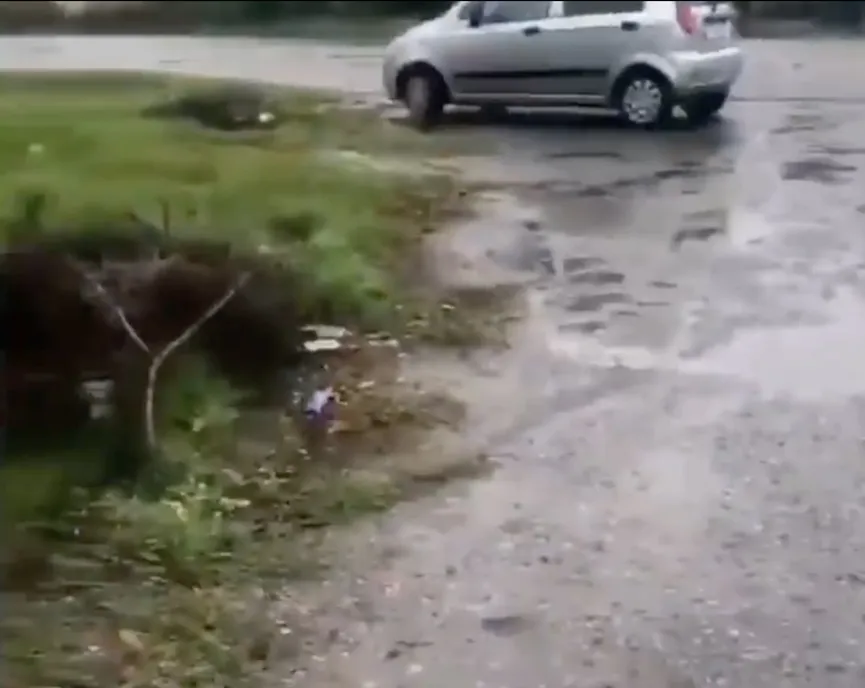 Abandoned puppy bursts into tears as he realizes he is being rescued 2