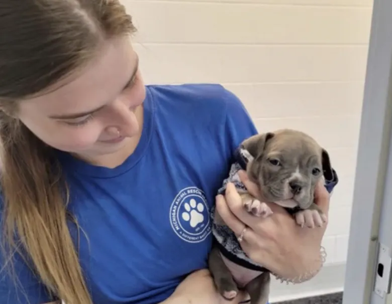 Deformed puppy relinquished to shelter by breeder is happy and healthy 4