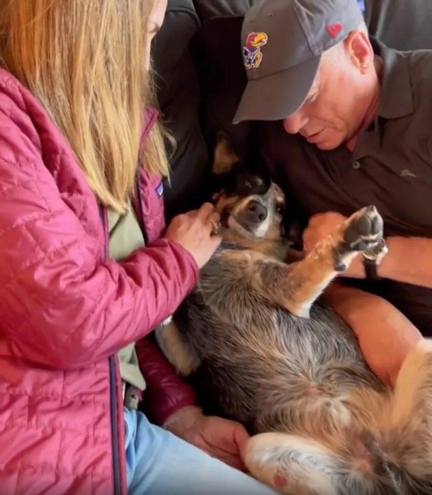 Dog discovers he is going to visit grandparents and can't hide his joy 4