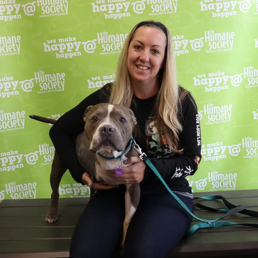 Geredde pitbull met tumor zo groot als een volleybal krijgt een tweede kans 5