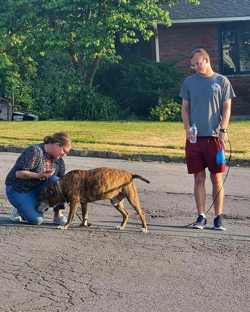 Hele buurt komt opdagen voor laatste wandeling van hond met terminale kanker 10