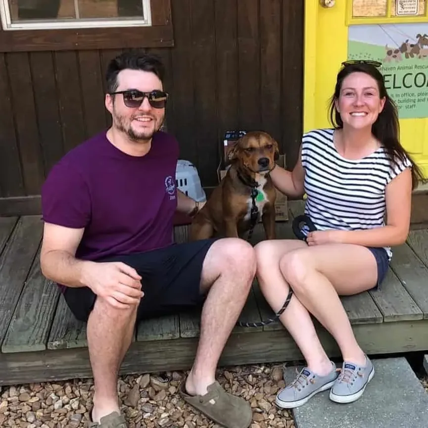 Puppy dumped with chair and TV waits for his owners not to return 4