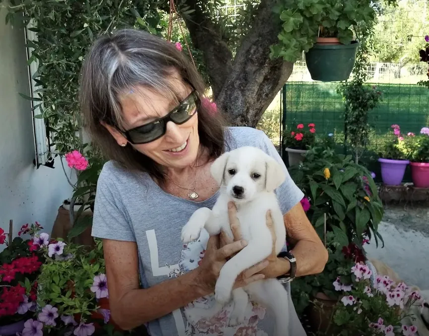 Tiny crying puppy left at supermarket overjoyed after someone helps her 7