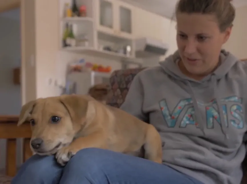 Uitgehongerde puppy geeft laatste stukje brood aan zijn redders 6